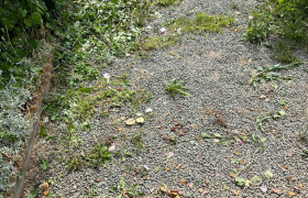 Nettoyage de terrain et pose de gravillons