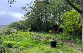 Nettoyage de terrain