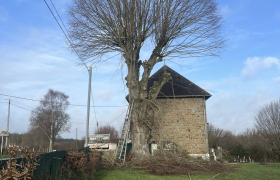  Élagage 