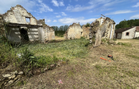 Débroussaillage de ronces