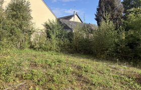 Elagueur Bagnoles de l'Orne
